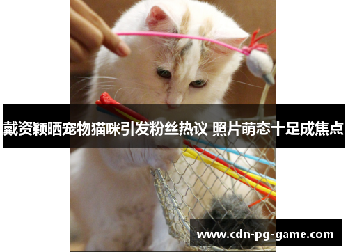 戴资颖晒宠物猫咪引发粉丝热议 照片萌态十足成焦点 戴资颖晒宠物猫咪引发粉丝热议 照片萌态十足成焦点