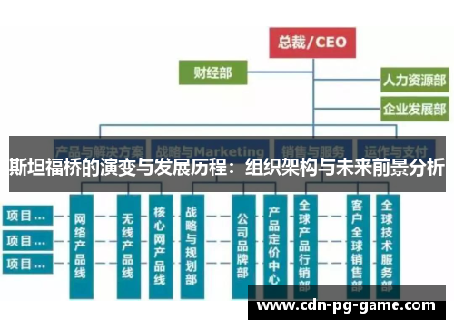 斯坦福桥的演变与发展历程:组织架构与未来前景分析 斯坦福桥的演变与发展历程:组织架构与未来前景分析