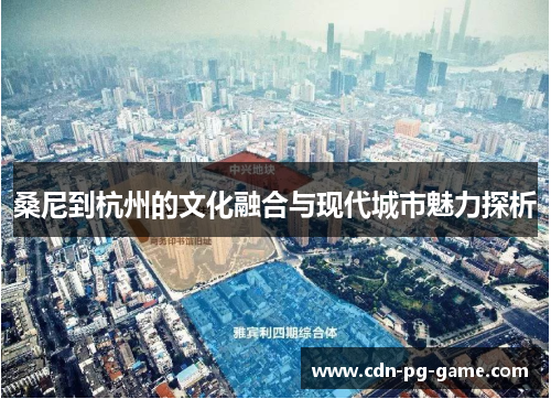 桑尼到杭州的文化融合与现代城市魅力探析